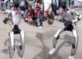 Robot caus� sensaci�n con singular baile en carnaval Pukllay en Andahuaylas: "Baila mejor que yo"