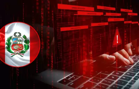 Alarma en Per� por incremento de delitos inform�ticos