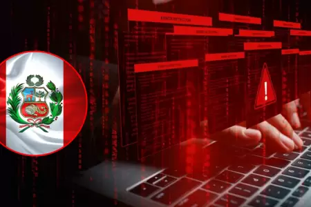Alarma en Per� por incremento de delitos inform�ticos