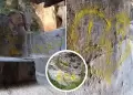 Desconocidos atentaron contra patrimonio en Cusco: realizaron grafitis con aerosol en Huaca Cheqtaqaqa