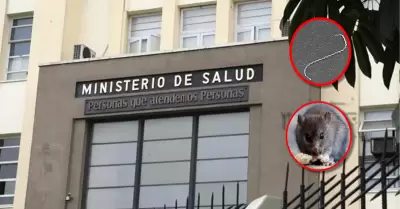 Autoridades sanitarias reforzar�n la vigilancia, diagn�stico y prevenci�n.