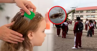 La entidad brind� recomendaciones de cuidado ante el inicio del a�o escolar.