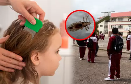 La entidad brind� recomendaciones de cuidado ante el inicio del a�o escolar.