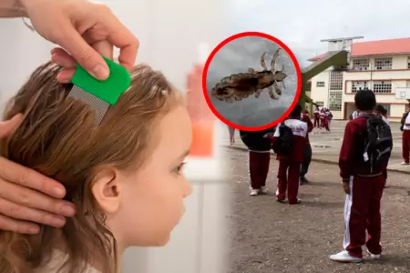 La entidad brind� recomendaciones de cuidado ante el inicio del a�o escolar.