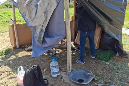 Yegua en estado cr�tico por maltrato animal