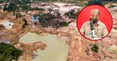 150 mil hect�reas de la Amazon�a se pierden cada a�o