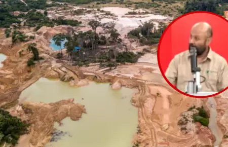 150 mil hect�reas de la Amazon�a se pierden cada a�o