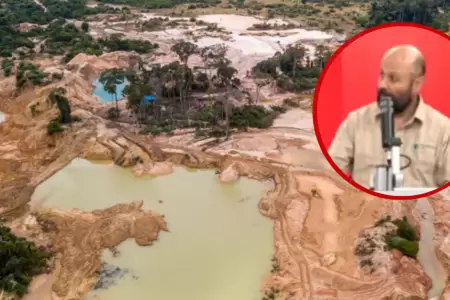 150 mil hect�reas de la Amazon�a se pierden cada a�o