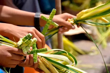 Tradicionales palmas son bendecidas en Domingo de Ramos.