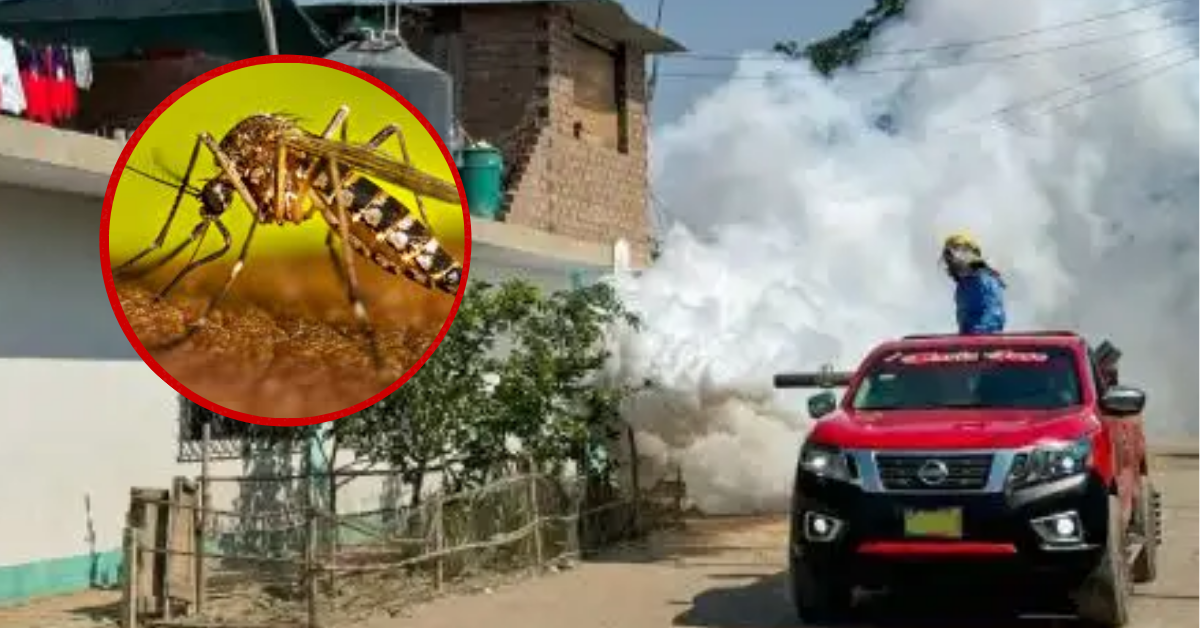 Más de 100 casos de dengue se registran en La Libertad: Intensifican fumigación en la región