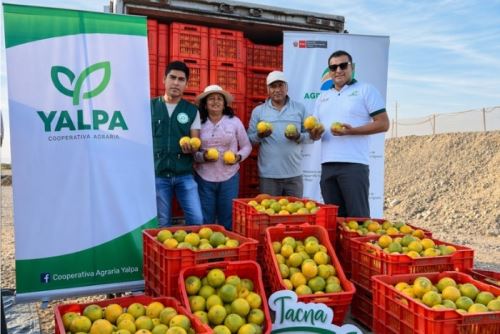 El ingreso de las naranjas de Tacna a Lima ser� de hasta 20 toneladas