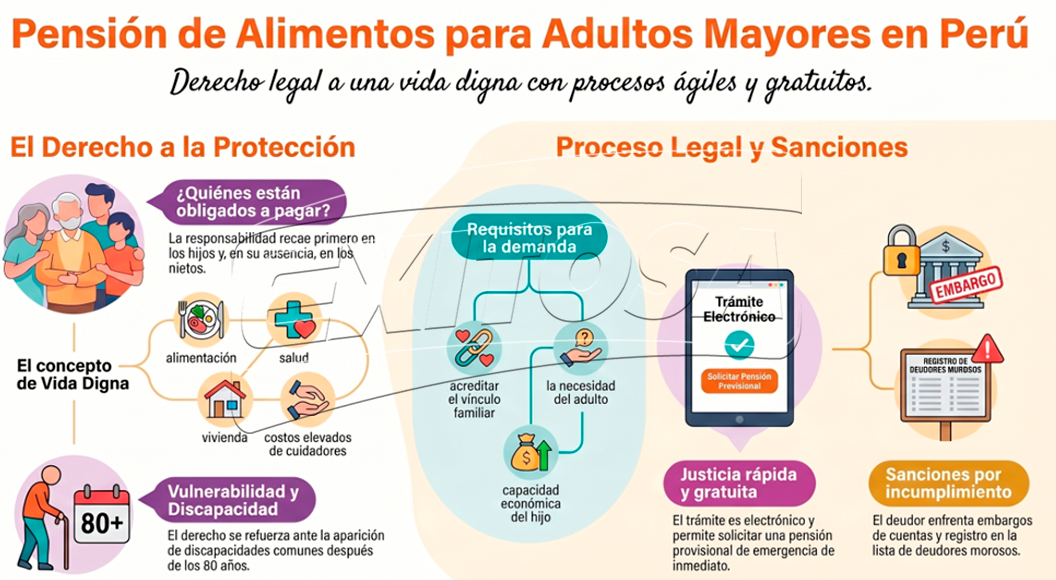 Detalles para demanda de adultos mayores a hijos por pensión.