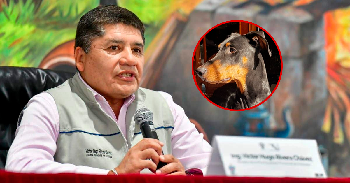 Vacan a alcalde de Arequipa por presunto uso de recursos públicos para el cuidado de su mascota