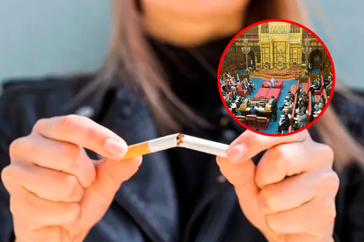 Proyecto se aprob� en ambas c�maras parlamentarias.