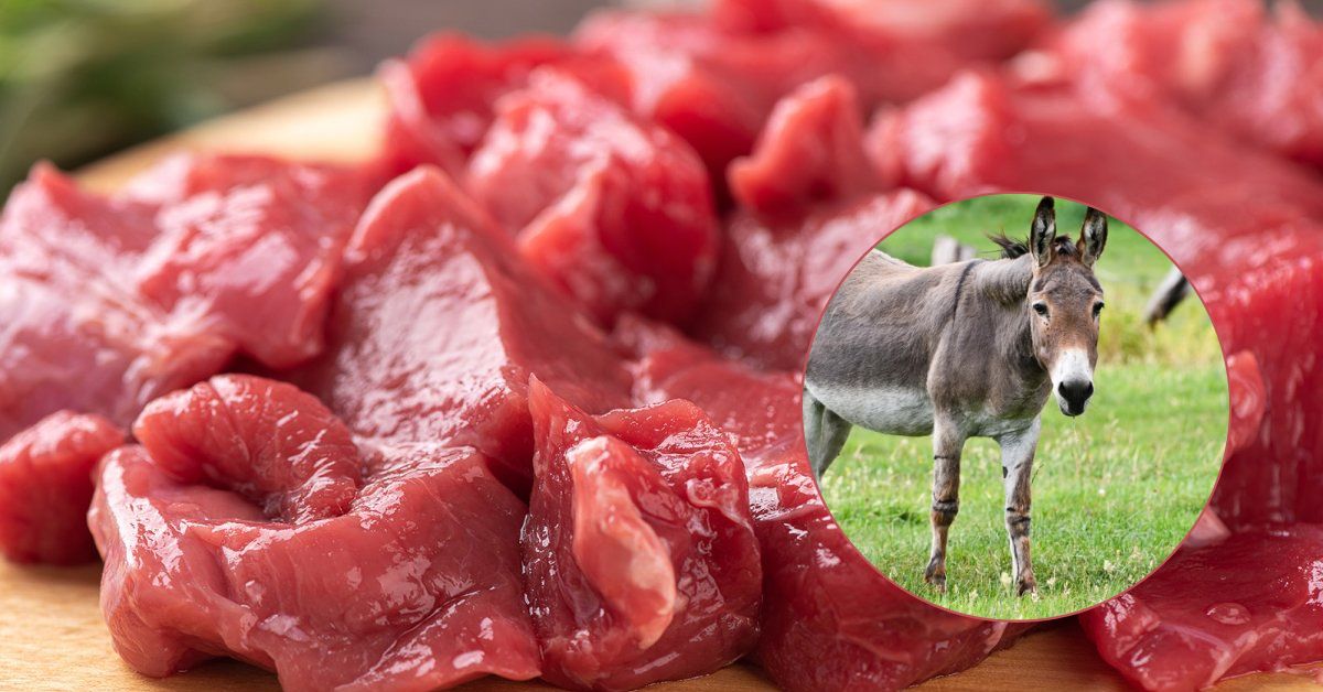 Carne vacuna sube en Argentina y desata controversia: Carnicería ofrece de burro como alternativa