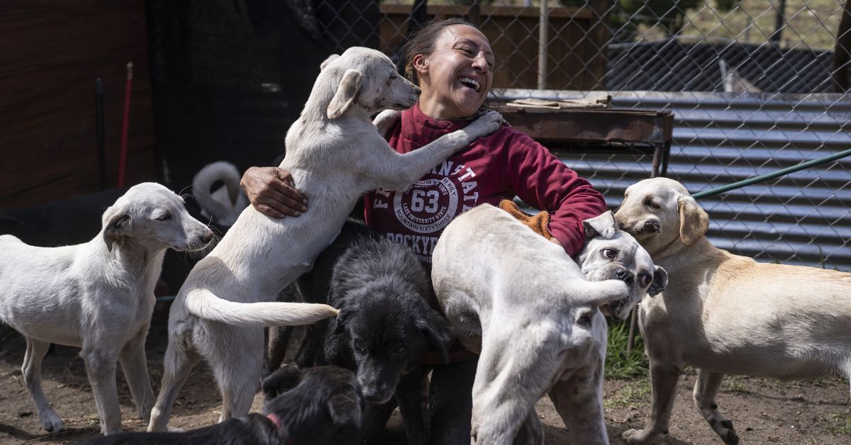 Chiclayo: Ordenanza permitirá solo dos mascotas por hogar para promover la tenencia responsable