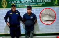 Yurimaguas: cae mototaxista con m�s de 100 kilos de carne de lagarto blanco en operativo policial