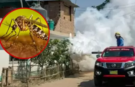 M�s de 100 casos registrados en Chao, La Libertad