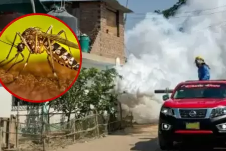 M�s de 100 casos registrados en Chao, La Libertad