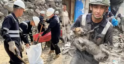 Fuerzas Armadas ejecutaron m�s de 600 intervenciones en sectores en emergencia p