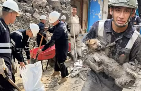 Fuerzas Armadas ejecutaron m�s de 600 intervenciones en sectores en emergencia p