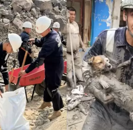 Fuerzas Armadas ejecutaron m�s de 600 intervenciones en sectores en emergencia p