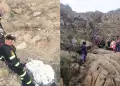 Tragedia en Chiclayo: Ataque de abejas deja un muerto y cinco heridos en cerro de P�tapo