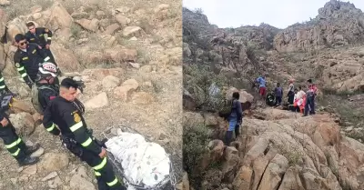 Ataque de abejas desat� tragedia durante paseo familiar en Chiclayo.