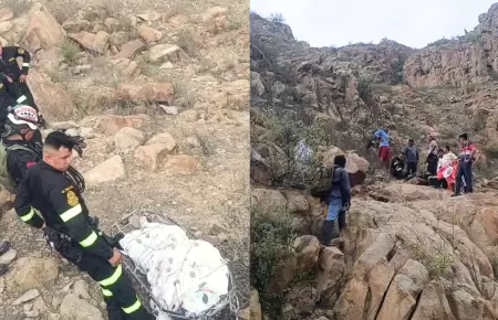 Ataque de abejas desat� tragedia durante paseo familiar en Chiclayo.