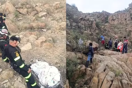 Ataque de abejas desat� tragedia durante paseo familiar en Chiclayo.