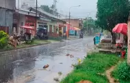 Senamhi emite alerta por lluvias intensas en 65 provincias del Per� durante las pr�ximas 48 horas