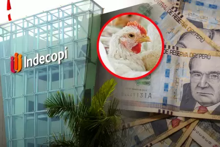 Empresas habr�an acordado subir y mantener el precio de pollo vivos durante el 2
