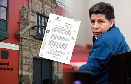 El Tribunal aleg� no encontrar vulneraci�n de derechos fundamentales.