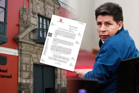 El Tribunal aleg� no encontrar vulneraci�n de derechos fundamentales.