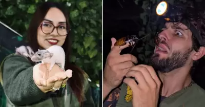 Interactuar con animales ex�ticos en Lima