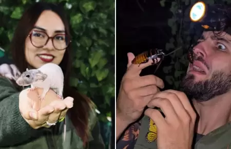 Interactuar con animales ex�ticos en Lima