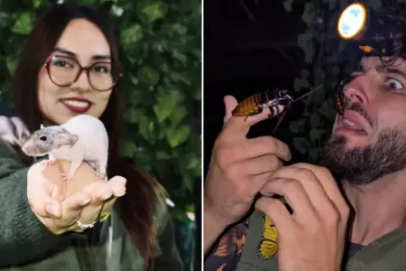 Interactuar con animales ex�ticos en Lima