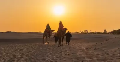 �D�nde pasear en camellos en el desierto de Ica?