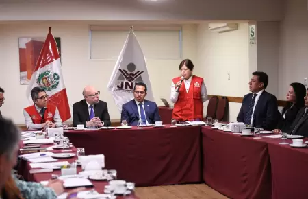 Jurado Nacional de Elecciones verificando material extranjero