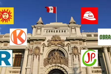 Seis partidos pol�ticos obtienen curuoles para el Senado y C�mara de Diputados.