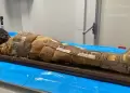 Descubren momia egipcia de 2.000 a�os con misterioso objeto oculto en el pecho