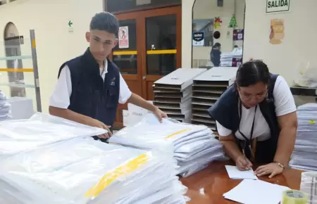 Experto asegura que irregularidades en elecciones alimentan narrativa de fraude.