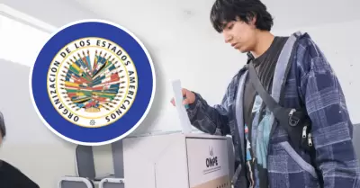 Misi�n de la OEA respalda proceso electoral en Per�