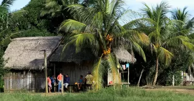 Comunidad ashaninka recibe certificaci�n para prevenir incendios forestales