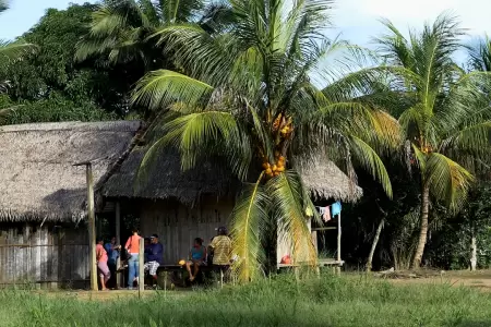 Comunidad ashaninka recibe certificaci�n para prevenir incendios forestales