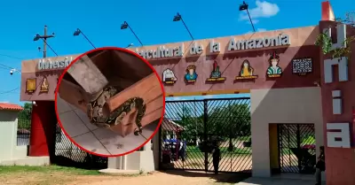 Trabajadores vivieron momentos de tensi�n tras encontrar al reptil.