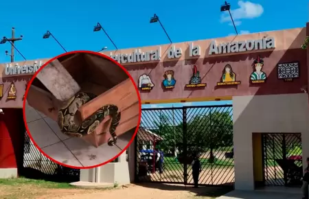 Trabajadores vivieron momentos de tensi�n tras encontrar al reptil.