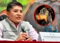 Vacan a alcalde de Arequipa por presunto uso de recursos p�blicos para el cuidado de su mascota