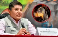 Vacan a alcalde de Arequipa por presunto uso de recursos p�blicos para el cuidado de su mascota