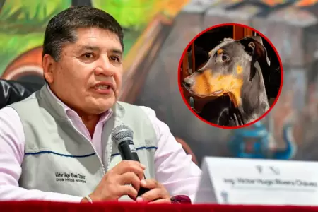 La destituci�n del burgomaestre de confirmar�a en las pr�ximas horas.